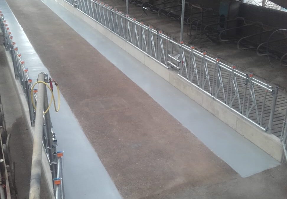 Renovatie voerhek