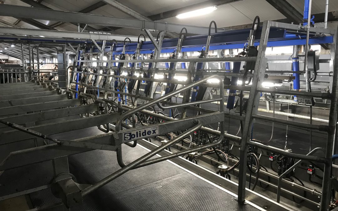 Boon Nekkeveldweg Solidex 2×10